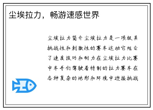尘埃拉力，畅游速感世界