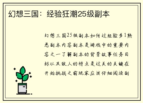幻想三国：经验狂潮25级副本